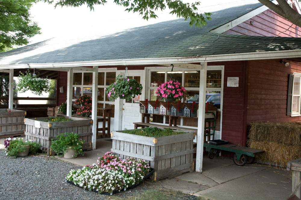 Atlantic Farm Market, Manasquan